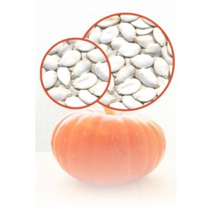 Snow White Pumpkin Seeds