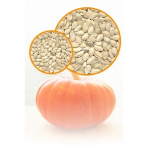 Shine Skin Pumpkin Seeds