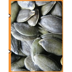 Grown without Shell Grade AA