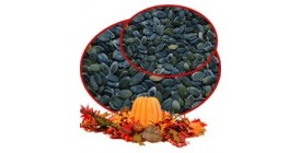 Grown without Shell Grade A