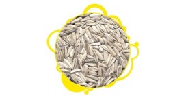 White Sunflower Seeds