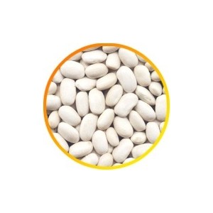 White medium kidney beans